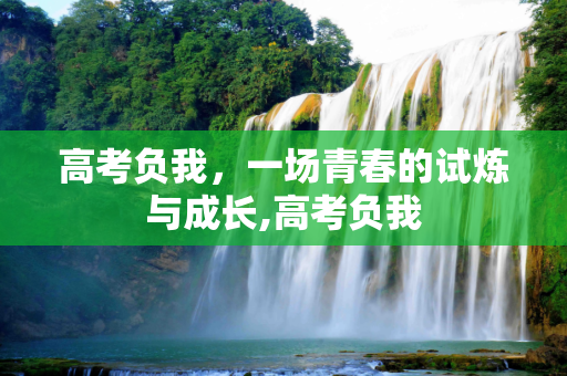 高考负我，一场青春的试炼与成长,高考负我