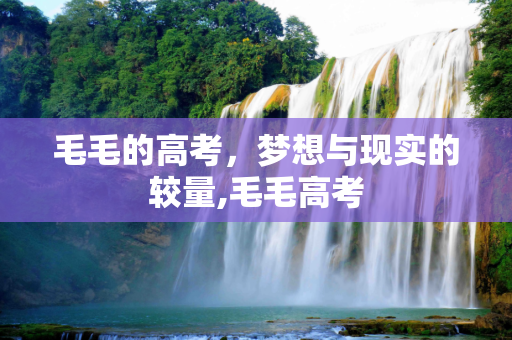 毛毛的高考，梦想与现实的较量,毛毛高考