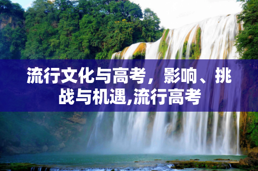 流行文化与高考，影响、挑战与机遇,流行高考