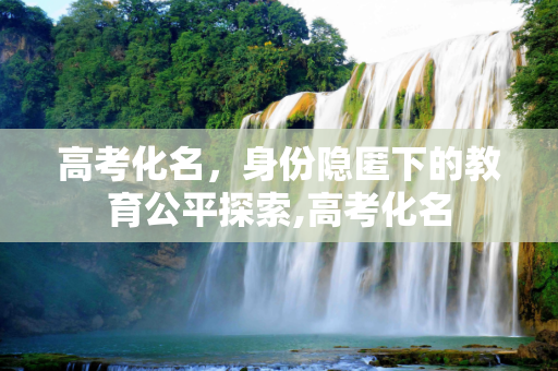 高考化名，身份隐匿下的教育公平探索,高考化名
