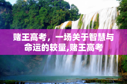 赌王高考，一场关于智慧与命运的较量,赌王高考