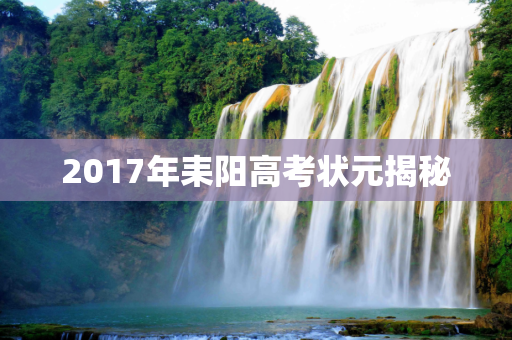 2017年耒阳高考状元揭秘