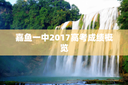 嘉鱼一中2017高考成绩概览