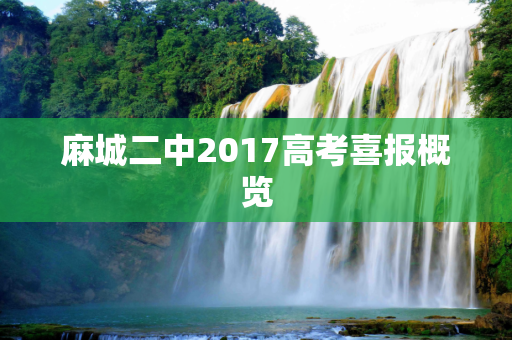 麻城二中2017高考喜报概览