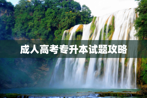 成人高考专升本试题攻略