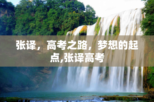 张译，高考之路，梦想的起点,张译高考