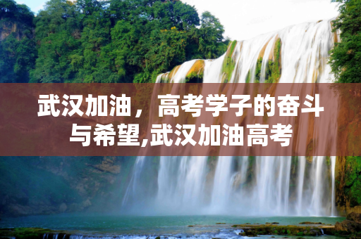 武汉加油，高考学子的奋斗与希望,武汉加油高考