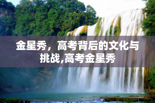 金星秀，高考背后的文化与挑战,高考金星秀