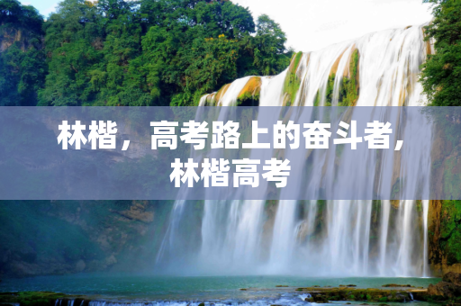 林楷，高考路上的奋斗者,林楷高考