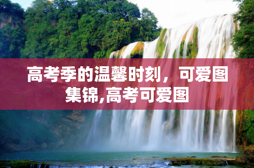 高考季的温馨时刻，可爱图集锦,高考可爱图