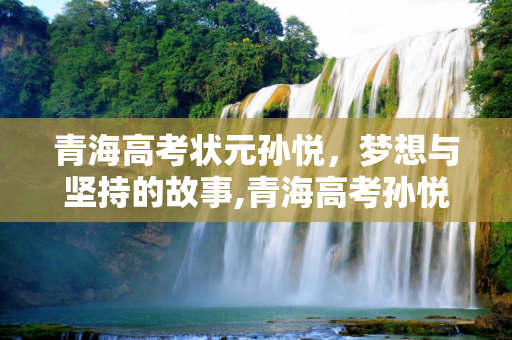 青海高考状元孙悦，梦想与坚持的故事,青海高考孙悦