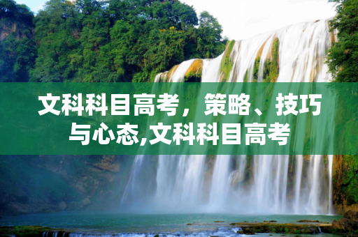 文科科目高考，策略、技巧与心态,文科科目高考