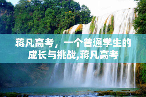 蒋凡高考，一个普通学生的成长与挑战,蒋凡高考