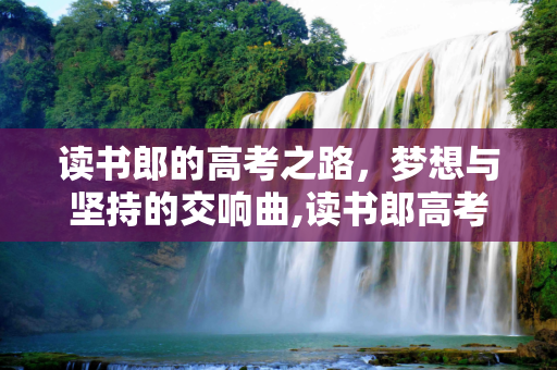 读书郎的高考之路，梦想与坚持的交响曲,读书郎高考
