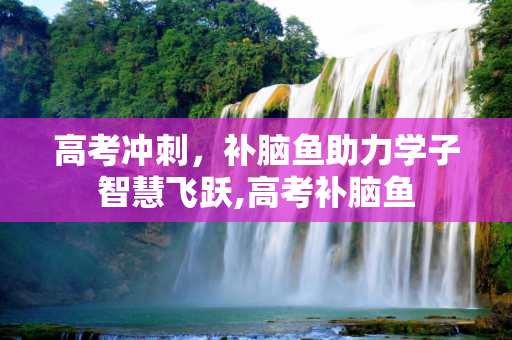 高考冲刺，补脑鱼助力学子智慧飞跃,高考补脑鱼