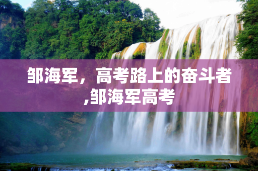 邹海军，高考路上的奋斗者,邹海军高考