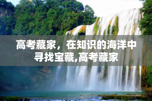 高考藏家，在知识的海洋中寻找宝藏,高考藏家