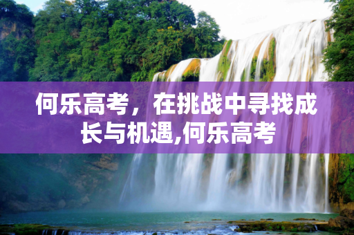 何乐高考，在挑战中寻找成长与机遇,何乐高考