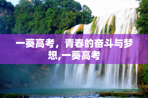 一葵高考，青春的奋斗与梦想,一葵高考