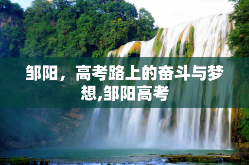 邹阳，高考路上的奋斗与梦想,邹阳高考