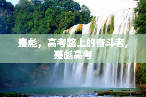 蹇彪，高考路上的奋斗者,蹇彪高考