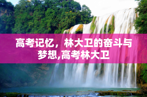 高考记忆，林大卫的奋斗与梦想,高考林大卫