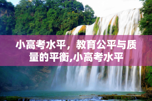 小高考水平，教育公平与质量的平衡,小高考水平