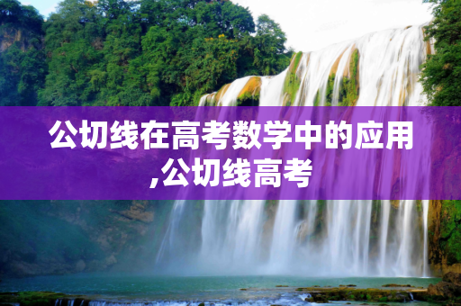 公切线在高考数学中的应用,公切线高考