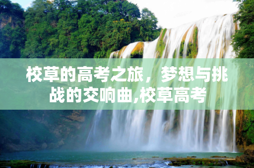 校草的高考之旅，梦想与挑战的交响曲,校草高考