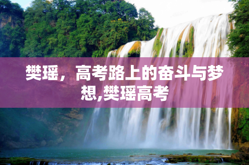 樊瑶，高考路上的奋斗与梦想,樊瑶高考