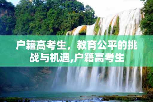 户籍高考生，教育公平的挑战与机遇,户籍高考生