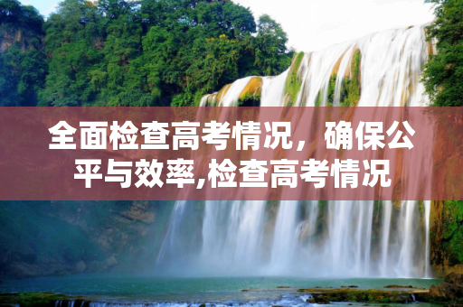 全面检查高考情况，确保公平与效率,检查高考情况