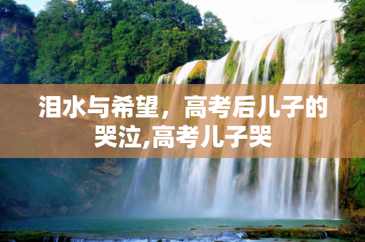 泪水与希望，高考后儿子的哭泣,高考儿子哭
