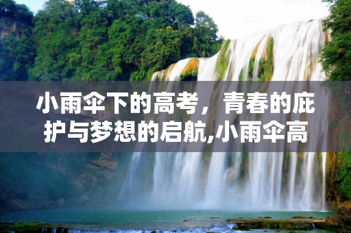 小雨伞下的高考，青春的庇护与梦想的启航,小雨伞高考