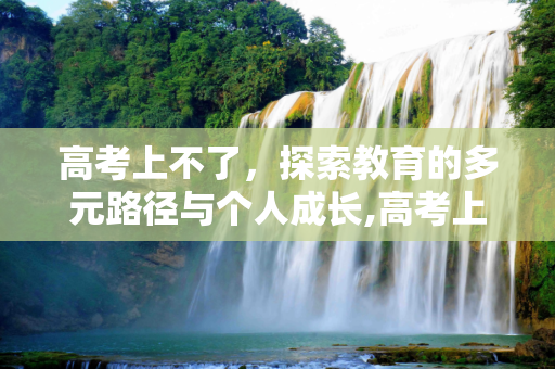 高考上不了，探索教育的多元路径与个人成长,高考上不了