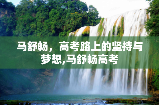 马舒畅，高考路上的坚持与梦想,马舒畅高考