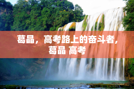葛晶，高考路上的奋斗者,葛晶 高考