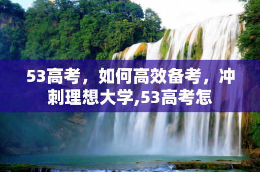 53高考，如何高效备考，冲刺理想大学,53高考怎