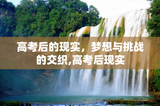 高考后的现实，梦想与挑战的交织,高考后现实