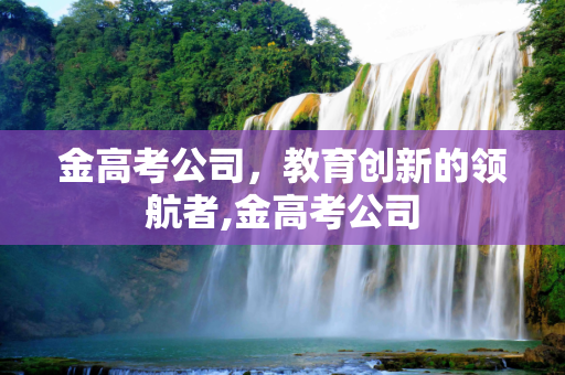 金高考公司，教育创新的领航者,金高考公司