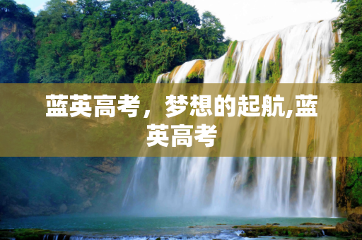 蓝英高考，梦想的起航,蓝英高考