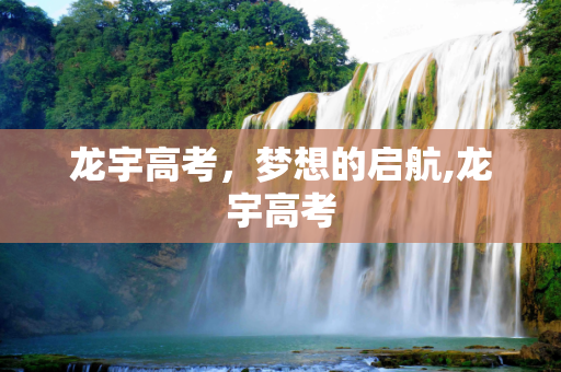 龙宇高考，梦想的启航,龙宇高考