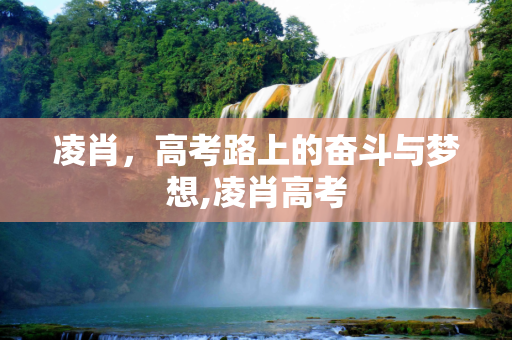 凌肖，高考路上的奋斗与梦想,凌肖高考