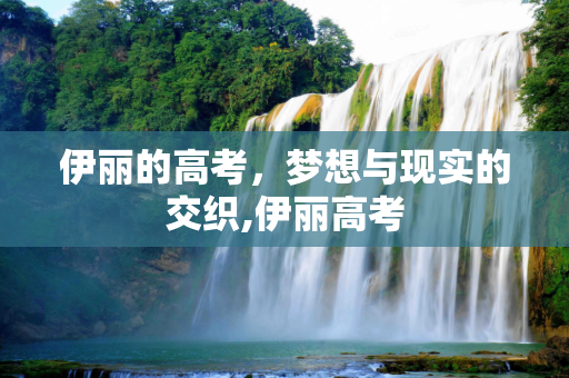 伊丽的高考，梦想与现实的交织,伊丽高考