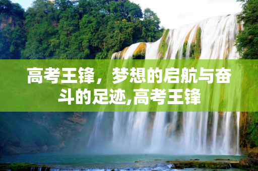 高考王锋，梦想的启航与奋斗的足迹,高考王锋