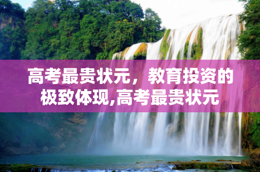 高考最贵状元，教育投资的极致体现,高考最贵状元