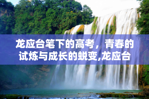 龙应台笔下的高考，青春的试炼与成长的蜕变,龙应台给高考