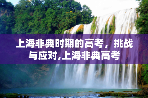 上海非典时期的高考，挑战与应对,上海非典高考