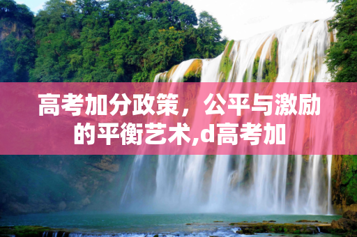 高考加分政策，公平与激励的平衡艺术,d高考加