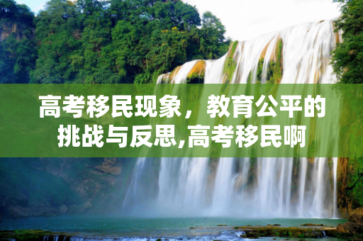 高考移民现象，教育公平的挑战与反思,高考移民啊